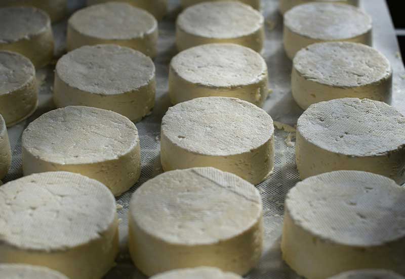 queso fresco